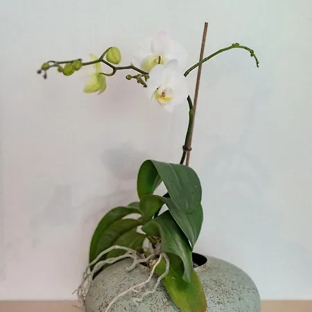 Gaestehaus Laesser 3*